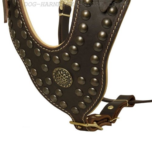 Royal Leather Dog Harness