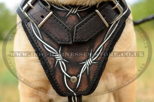 Shar-Pei Dog Harness UK