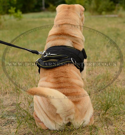 Shar-Pei Dog Harness UK