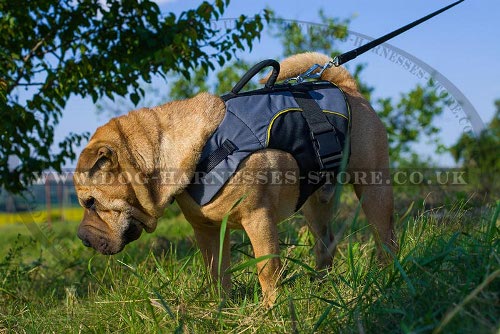 Shar-Pei Dog Harness UK