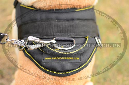 Shar-Pei Harness Buy UK