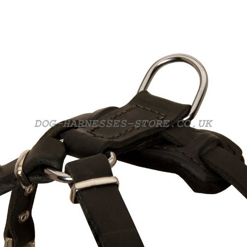 Small Dog Leather Harness Sale
