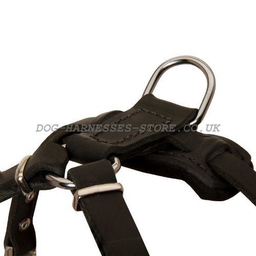 Leather Dog Harness UK