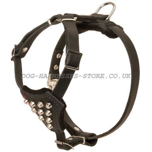 Small Dog Studded Harness