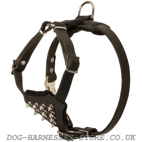 Spiked Leather Dog Harness UK