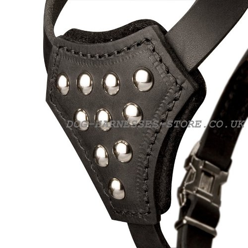 Small Studded Leather Dog Harness