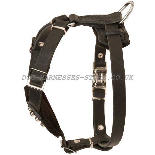Small Studded Leather Dog Harness
