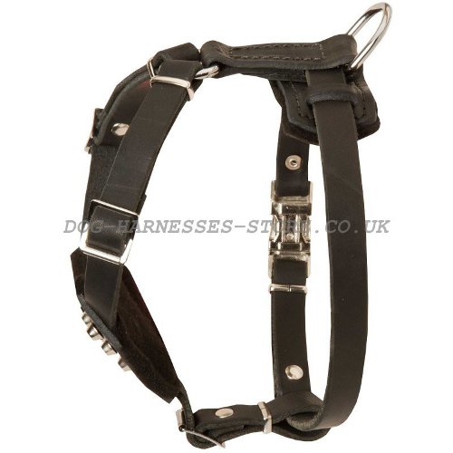 Studded Dog Harness