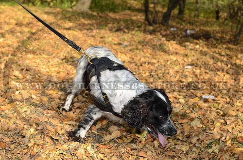 Spaniel Dog Harness