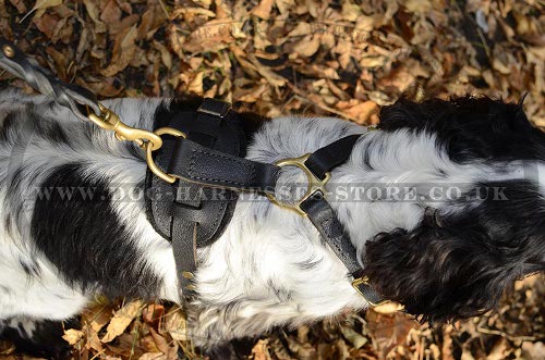 Spaniel Dog Harness