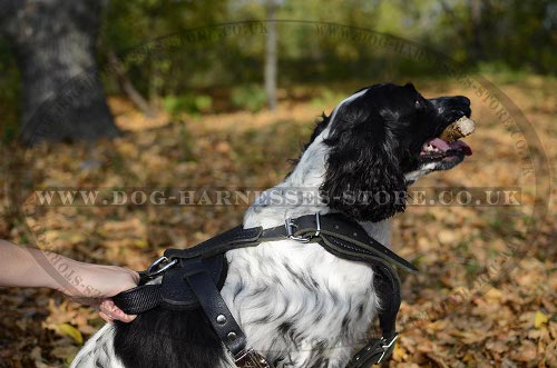 Spaniel Dog Harness