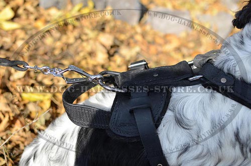 Spaniel Harnesses