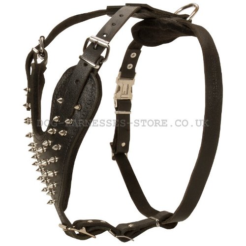 Harness for Black Russian Terrier