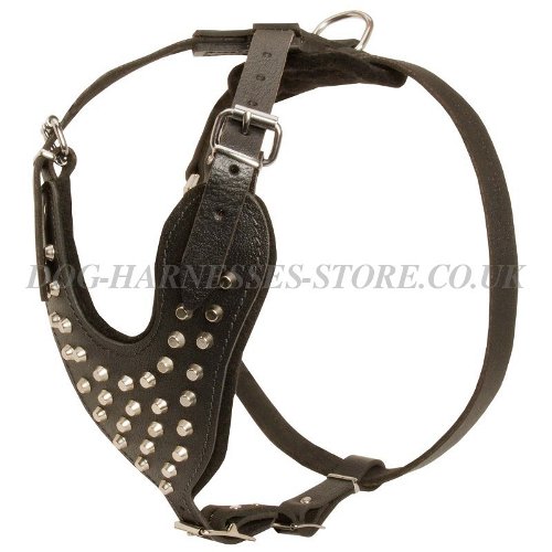 Leather Studded Dog Harness