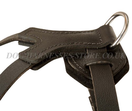 Studded Dog Harness UK