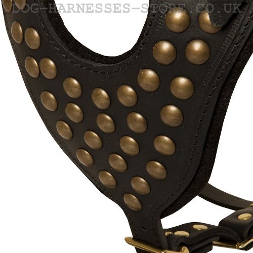 Studded Dog Harness UK