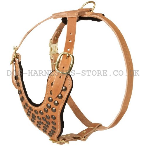 Dog Harness Leather