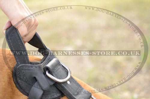 Dog Harness with Handle for Amstaff UK