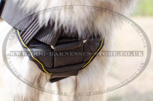 Tervuren Harness