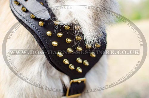 Tervuren Harness UK