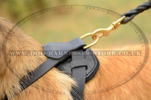 Tervuren Harness UK