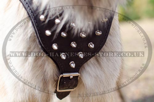 Tervuren Harness UK