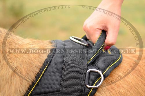 Tervuren Harness UK