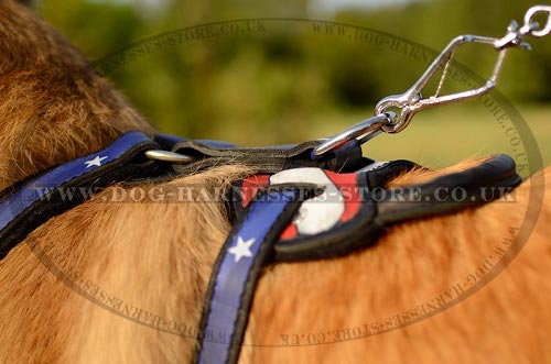 Tervuren Harnesses