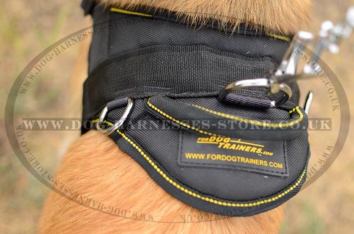 Tervuren Harnesses