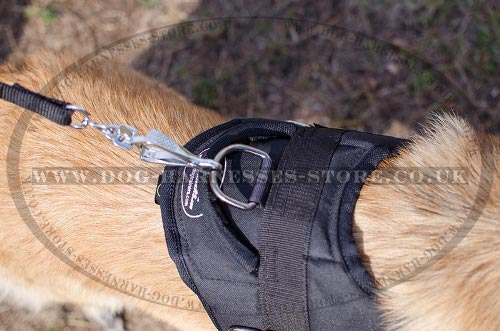 Tervuren Harnesses