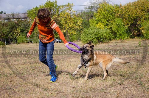 Tervuren Harnesses UK