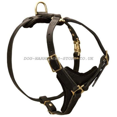 Dog Harness Tracking UK
