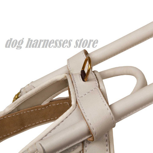 Guide Dog Harness