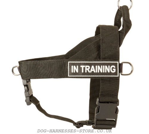 Nylon Dog Harness UK