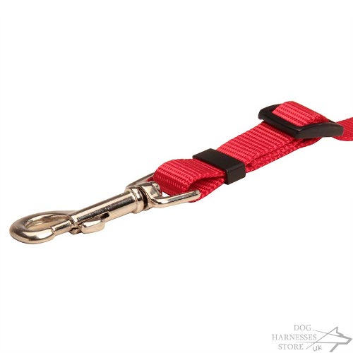 Dog Leash for Car