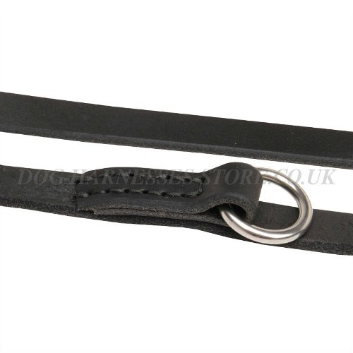 Best Leather Dog Leads UK