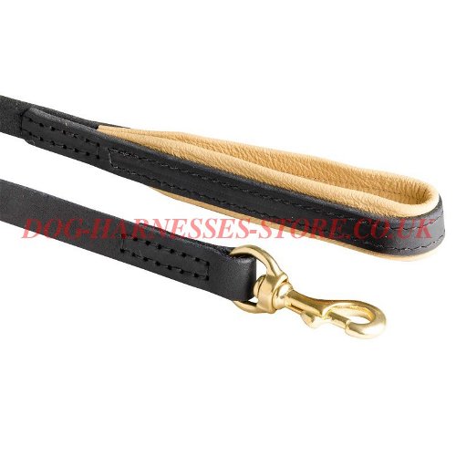 Best Leather Dog Leash