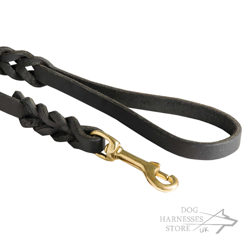 Braided Dog Lead