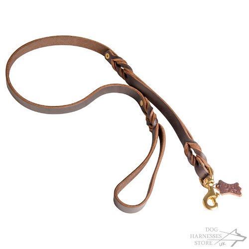 Braided Leather Dog Leash UK