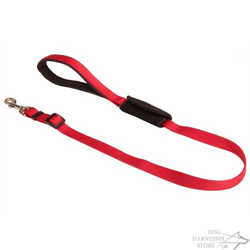 Dog Car Leash