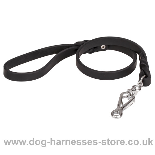 Dog Leash UK