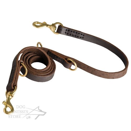 Functional Leather Dog Lead