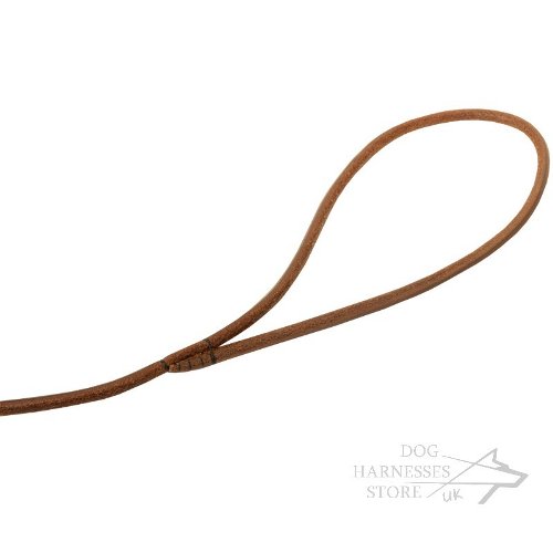 Dog Show Lead Leash