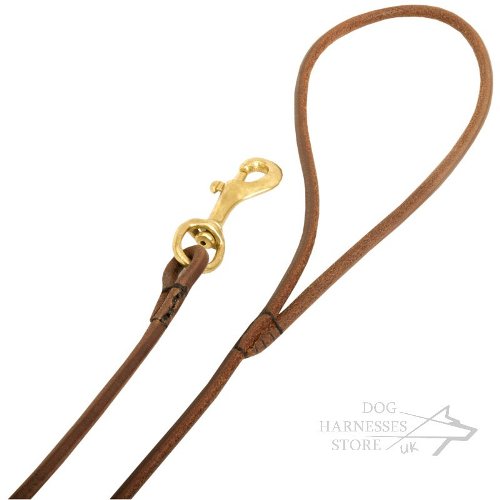 Dog Show Leads Custom