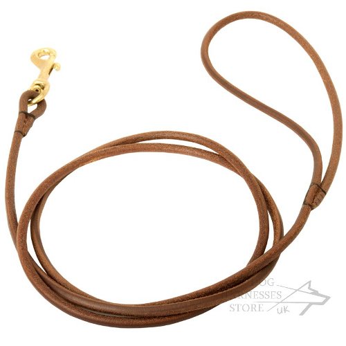 Dog Show Leash Leather