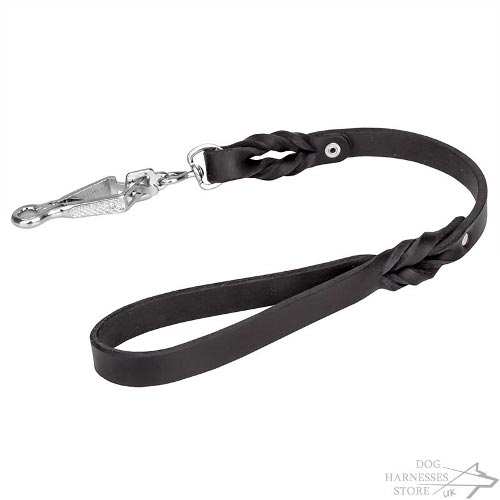 Easy Walk Dog Leash