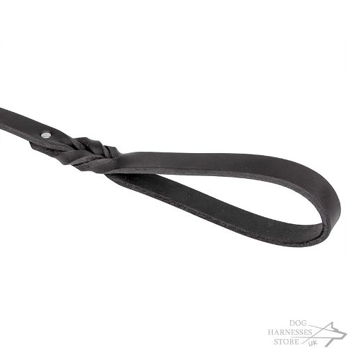 Easy Walk Leash