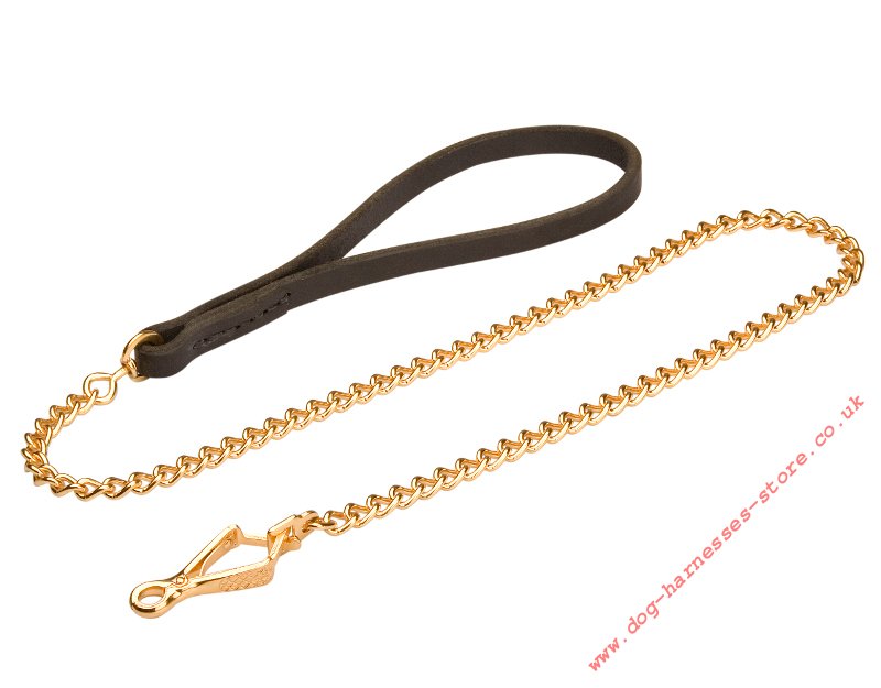 Gold Dog Leash UK, Germany Dog walking harness and anti pull