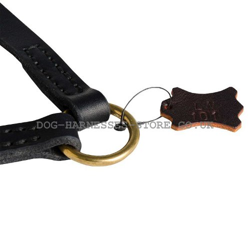 Leather Coupler Leash