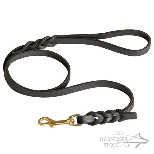 Leather Dog Lead